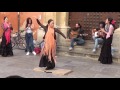 Flamenco dance (5) in Granada 2015