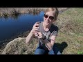 Herping for Wild Snakes in Wisconsin!!
