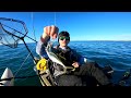 Offshore Kayak Fishing for BIG Fish!!