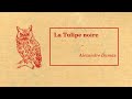 La Tulipe Noire, Alexandre Dumas - Livre Audio