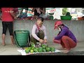 FULL Video: 60 Days Harvesting Papaya Fruit & Underground Wild Tuber Goes To Market Sell