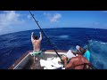 Cairns Black Marlin Fishing