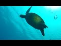 SIPADAN - Diver's Paradise 2015 (full version) HD
