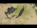 Helda & Riptide Spinosaurus Courting || PT Realism Path of Titans