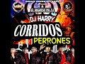 Corridos Perrones El Caballon 💽-Dj Harry👑-(El Regreso Del DJ)😎Magix Sound Récords💥