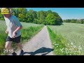 Forest Walking Video | Treadmill Virtual Walk Workout