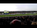 Frankel last race view from grandstand