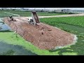 Nice Action!! Shantui Bulldozer Pushing Soil Filling Land On The Water With 25T Dump Trucks Loading