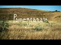 Pomegranate - Teija Bresler (demo)