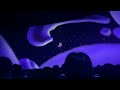 Mickey’s Philharmagic Full Show 1080p with Excellent Low Light Tokyo Disneyland / ミッキーのフィルハーマジック