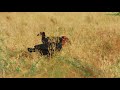 4K Amazing African Birds - African Wildlife Video with Birds Sounds - 2 HRS