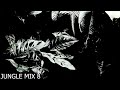 JUNGLE MIX 8