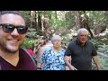 2018 Road Trip With My Parents A Day In Muir Woods | V038