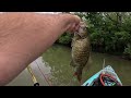 Caught several nice smallmouth including one 16.5