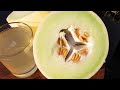 HARD GREEN TEA with Melon  - How to Ferment Tea at Home