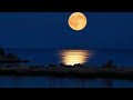 Moon River - Andy Williams - LucyAnn Colella (cover) 🎧