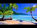 Soft Waves on a Tropical Beach - Relaxing Ocean Sounds for Sleep, Meditation, and Relaxation