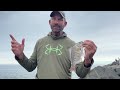 Jetty Fishing Westport Washington, Rockfish and Surfperch Tips and Tactics