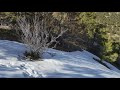 Abandoned silver mine....almost