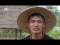 A journey of discovery on the Mekong through Laos | DW Documentary