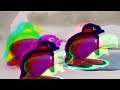 YTP Tennis: Pingu Goes Fishing for DELICIOUS Beef Stroganoff