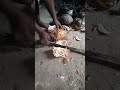 coconut chopping