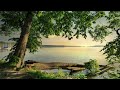 Calm and Relaxing Piano Music - Along the River