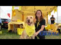 North Devon Show 2018