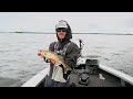 Lethal Tricks to Catch Walleyes During the Mayfly Hatch