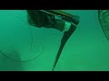 Red Snapper - Bull Shark - Florida Spearfishing