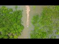 Drone Epicness - Crossing the Rupununi Floods