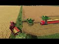 Boosting Corn Harvesting Speed with a Second Combine | Carpathian Countryside Farm | FS 22 | ep #52