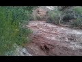 Flash flood near Virgin Utah