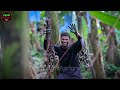 How Millions of Banana Harvested & Processed | Amazing Banana Harvesting Technology - Banana Farming