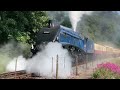The Best of 2023 - Steam Trains Galore