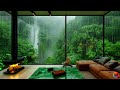 T R O P I C A - Amazonia Ambience Music & Raindrop Sounds In Beautiful Forest/Peace & Relaxing Sleep