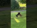 Molly and Dave playing after a hot day