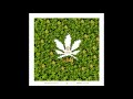Ras Kyleon - Herbalist (High Grade) [official audio]