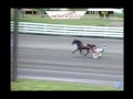 Horrific Horse Racing Accident