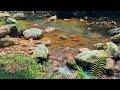 Relaxing sound of River Water - For meditation, Relaxation, Studying, Overcoming Insomnia, etc