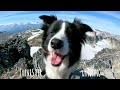 Chester's Brandywine Mountain hike: Fall Fun & Furry Friend🍁🐾🐶