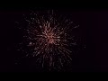 Willow Explosion X2 | Raccoon Fireworks | 500 Gram Cakes | 4K