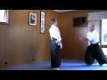 Basic Aikido techniques