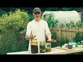 How to Preserve Your Garden Harvests Just Using Salt & Water (Ft. Chef Sam Black)