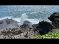 Halona Blowhole Overlook - Must See Stop on Oahu