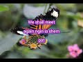 English translate khasi / meghalaya / part 2 / please subscribe for more update