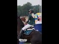 Trouble 👀 #shorts #trending #viral #fail #horse #sports #equestrian #fall