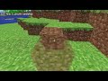 Vertex and color offsets in minecraft