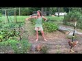 Our Chicken Tunnels, Coop, and Run Setup around the Garden