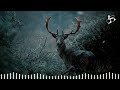 Wildlife - Inspiring Soundtrack - Epic Music 2023